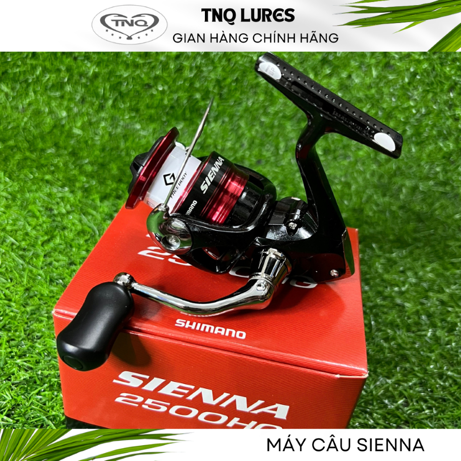 Máy câu dọc SHIMANO SIENNA FG 2500HG, C3000, 4000