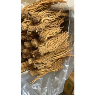 Sâm đương quy 500g - 1kg