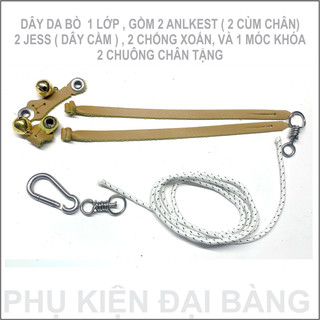Dây chân chim ưng ấn