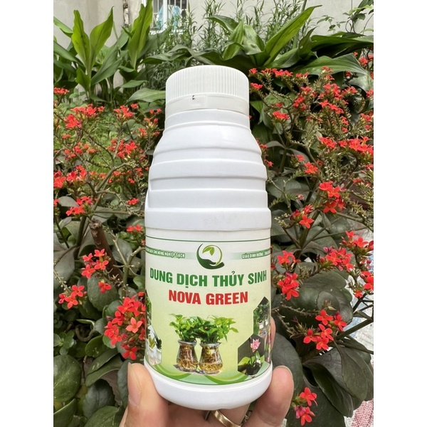 Dung dịch trồng cây thủy sinh, trồng cây trên nước NOVA GREEN 350ml