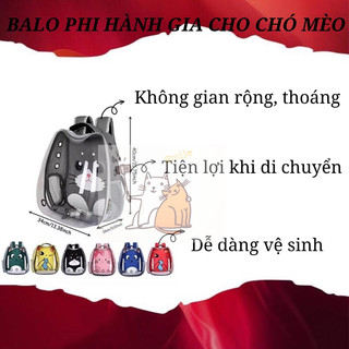 Balo phi hành gia trong suốt vận chuyển chó mèo - túi vận chuyển chó mèo