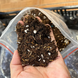 [CÓ GIÁ SỈ] 1 bịch đất trồng sen đá, xương rồng 1 lít = 1 dm3, đất thoát nước tốt, đầy đủ dinh dưỡng