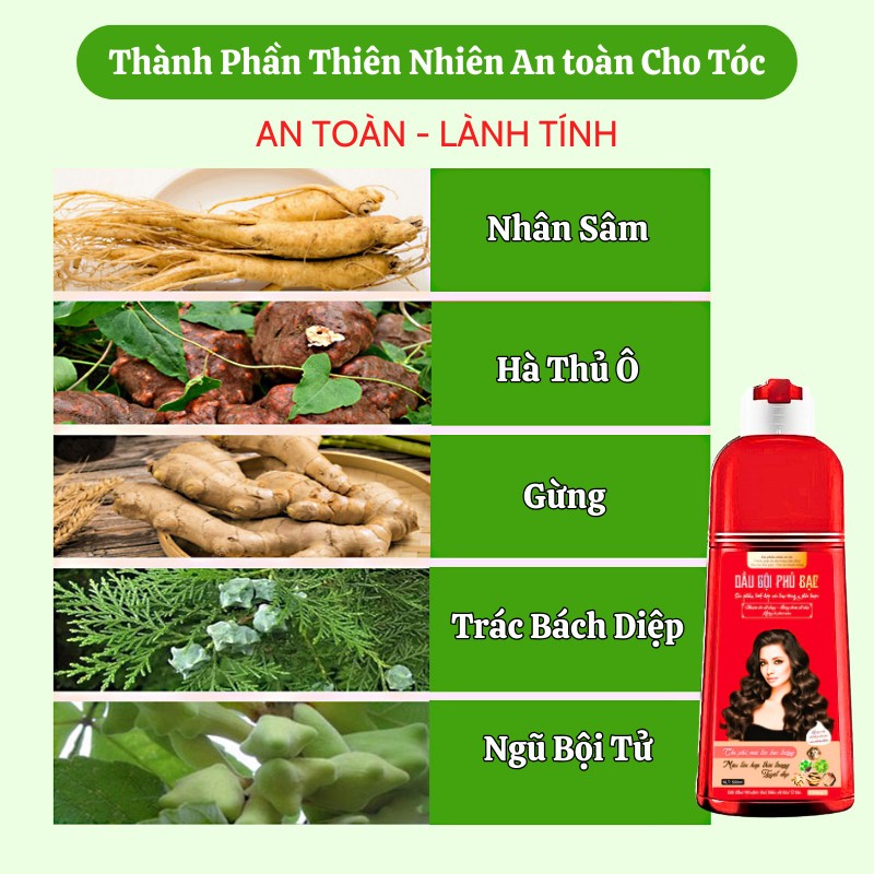 Dầu Gội Phủ Bạc Kumo Dung Tích 500ML Thành Phần Nhân Sâm Tự Nhiên Giúp Đen Tóc Bóng Mượt