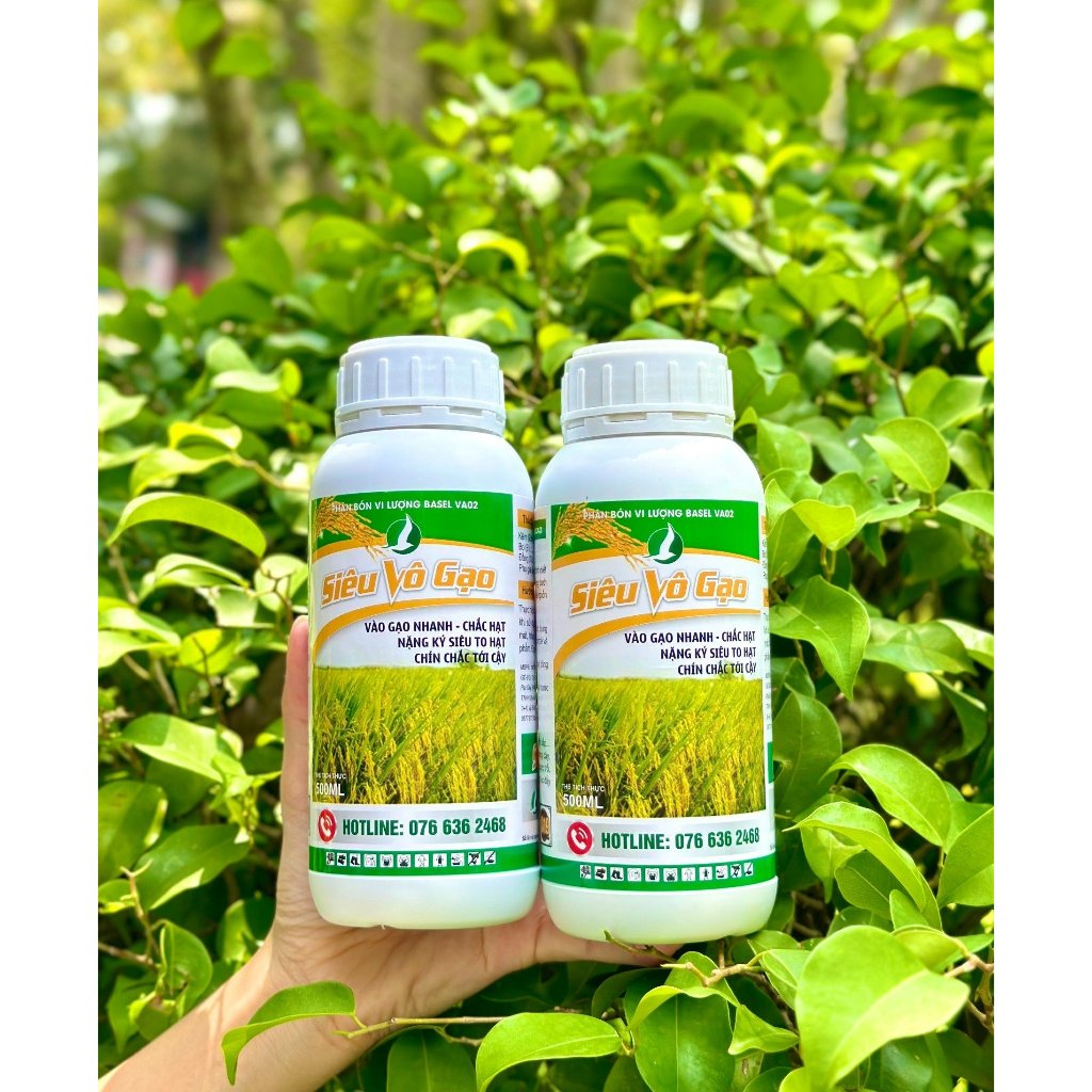 Vô gạo nhanh, chắc hạt, nặng ký, siêu to hạt - Phân bón SIÊU VÔ GẠO 500ML