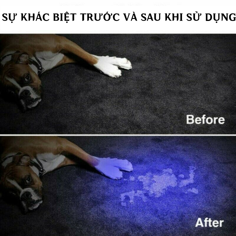 Đèn pin kiểm tra tia cực tím, đèn LED UV chuyên dụng soi tem nhãn, phát quang kim loại 365nm, 395nm