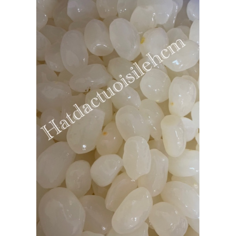 Hạt Đác Tươi Size Trung Nhỏ 1KG [HCM]