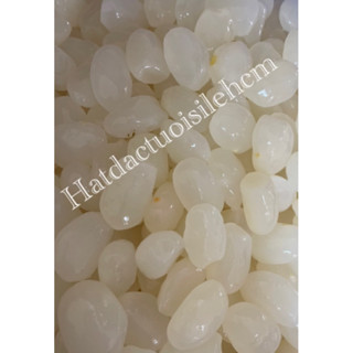 1KG Hạt Đác Tươi - SIZE TRUNG NHỎ (DẺO DAI)