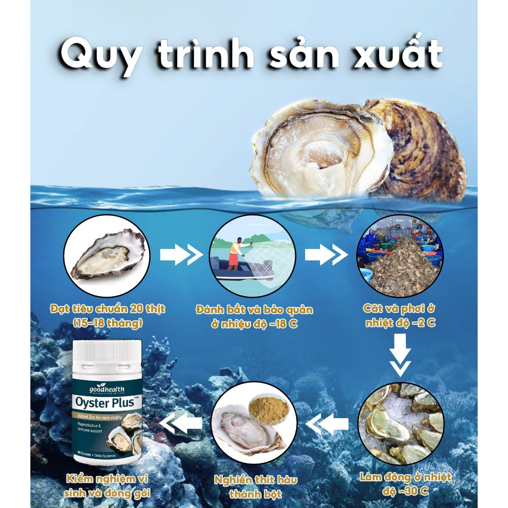 Viên uống tinh chất hàu biển Oyster Plus New Zealand Goodhealth cải thiện yếu sinh lí , xuất tinh sớm hộp 60 viên
