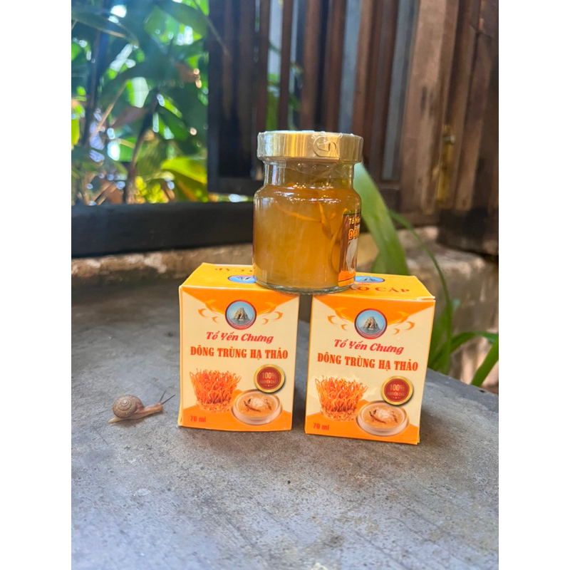Đông Trùng Hạ Thảo Chưng Yến Thượng Phẩm MMG