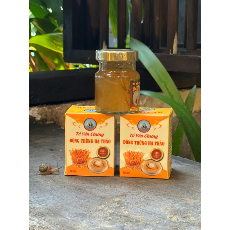 Đông Trùng Hạ Thảo Chưng Yến Thượng Phẩm MMG