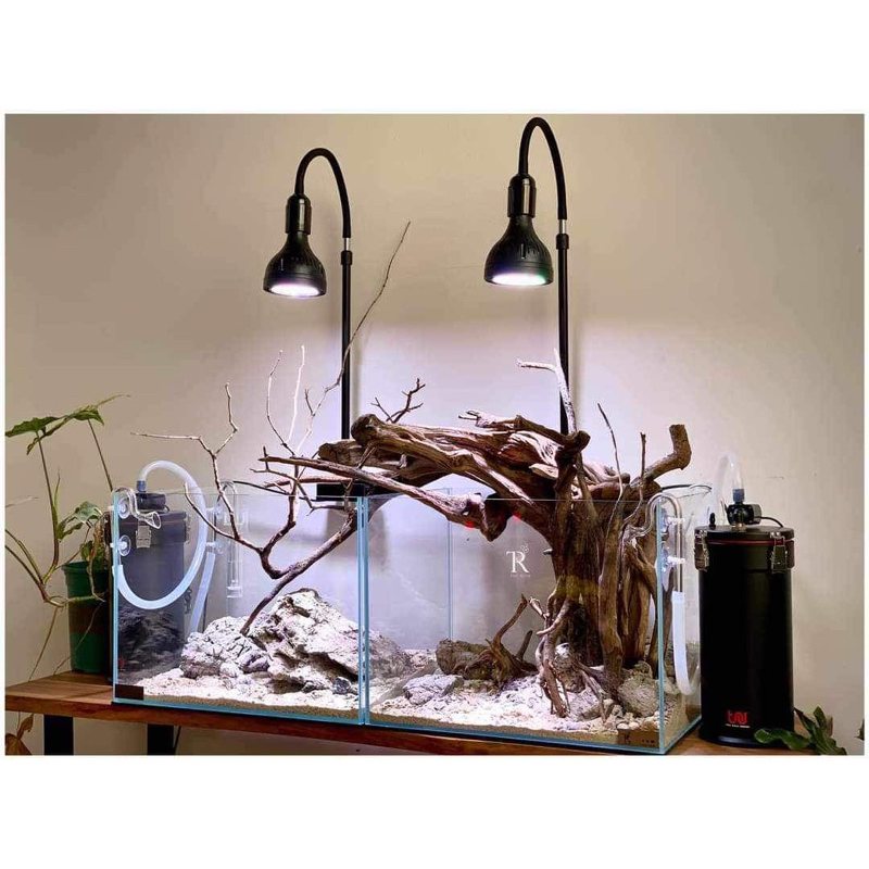 Đèn rọi bán cạn biotop thủy sinh