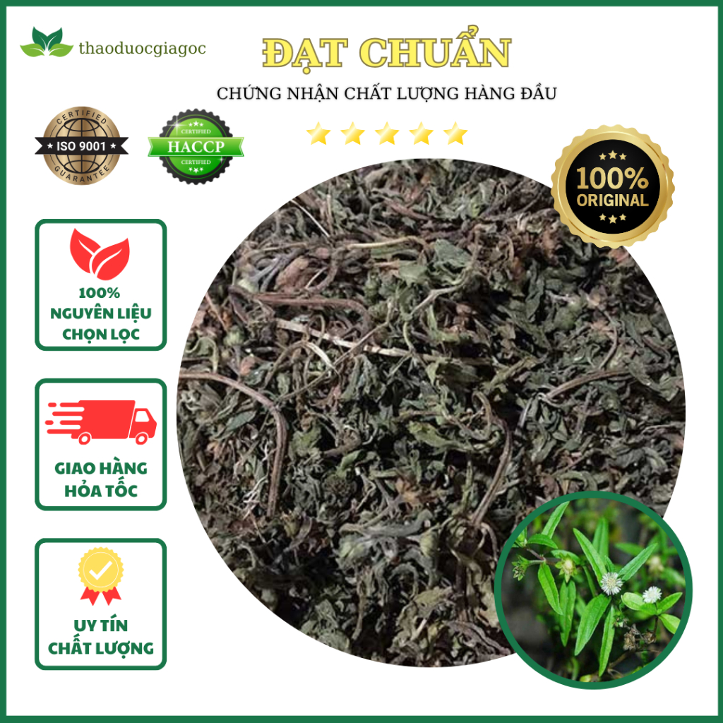 2Kg Cỏ Mực Nhọ Nồi [ Cành lá khô sạch đẹp ]