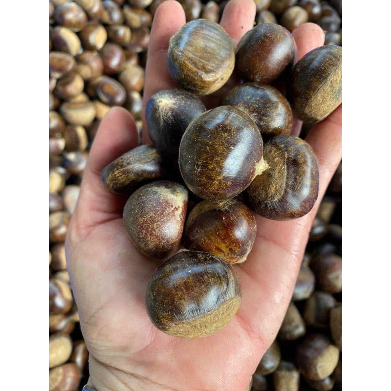 1kg HẠT DẺ TRÙNG KHÁNH