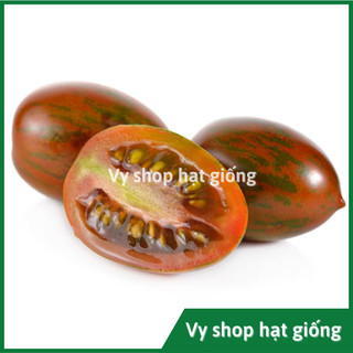 Hạt giống cà chua cherry Tiger Socola nguyên gói 100 hạt