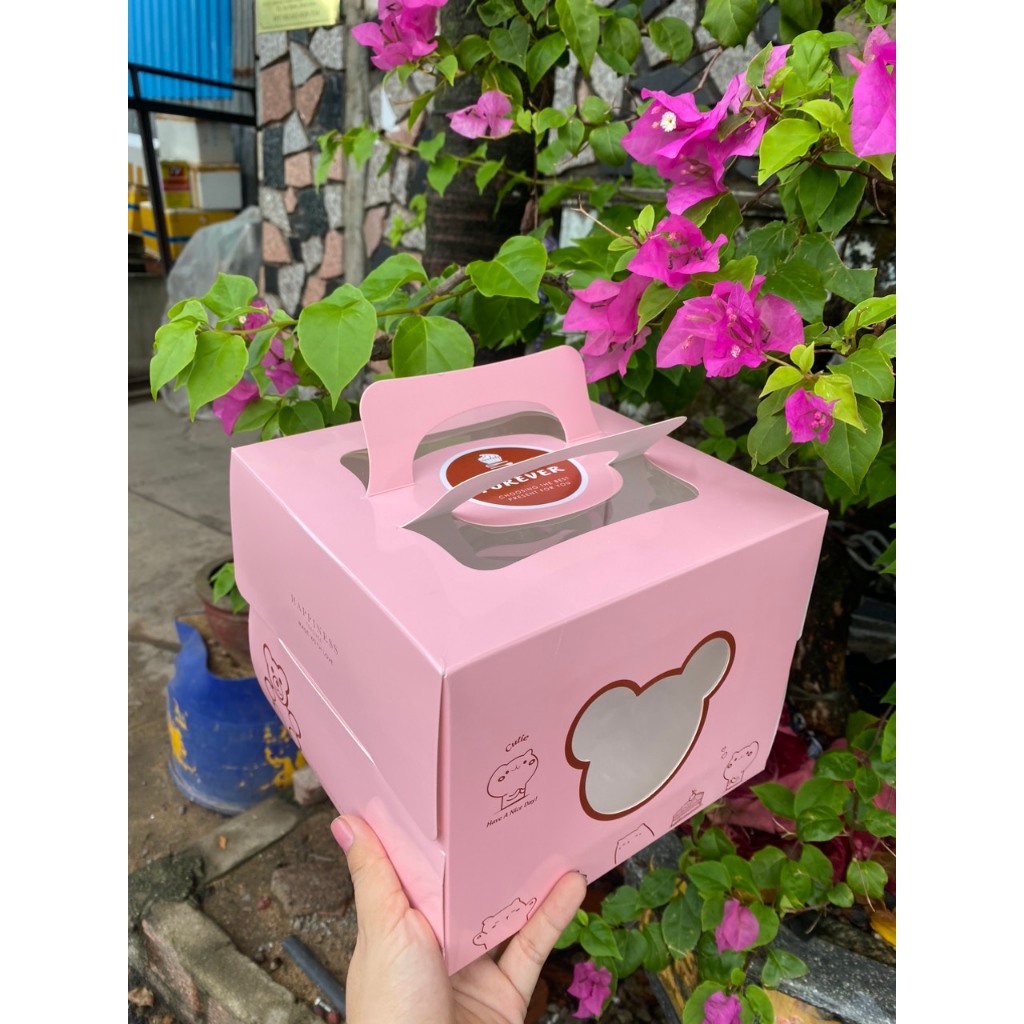 HỘP GẤU_MINI_combo 5 hộp_size 20x16