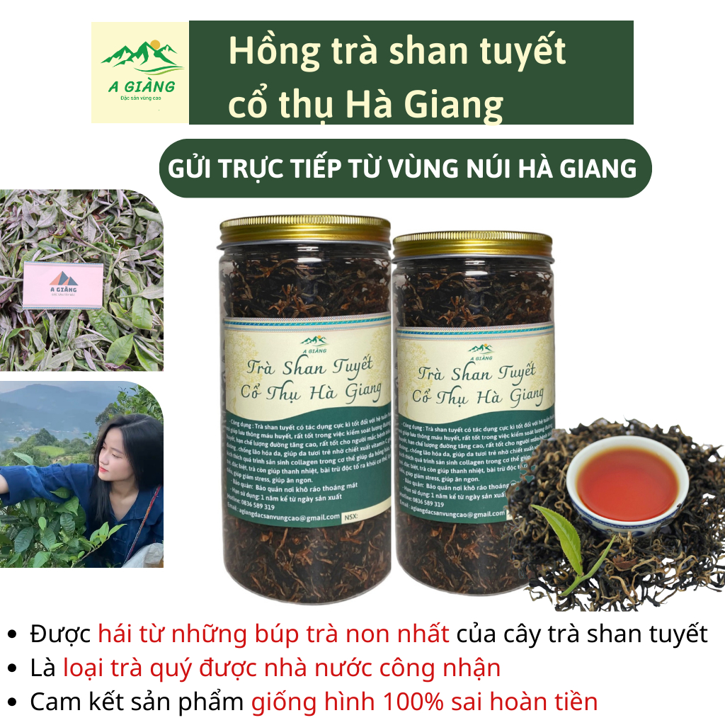 Hồng trà shan tuyết thượng hạng, Hồng trà shan tuyết cổ thụ Hà Giang 1 tôm 2 lá lên men tự nhiên hộp 200gr