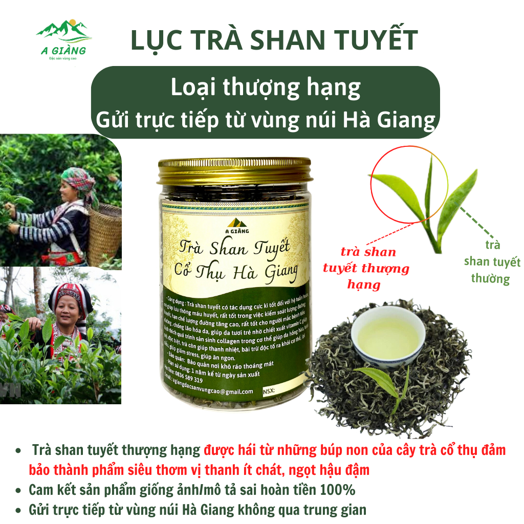 Lục trà shan tuyết cổ thụ Hà Giang loại thượng hạng cánh đẹp thơm mạnh, Trá shan tuyết cổ thụ loại búp non hộp 200gr
