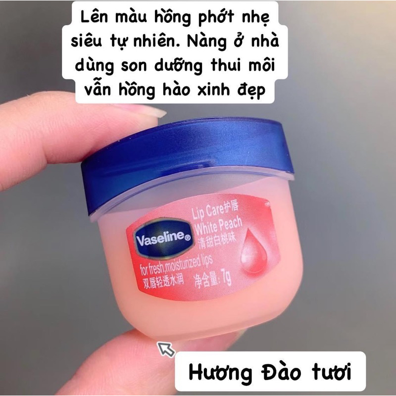 Dưỡng môi Vaseline  hũ 7gr