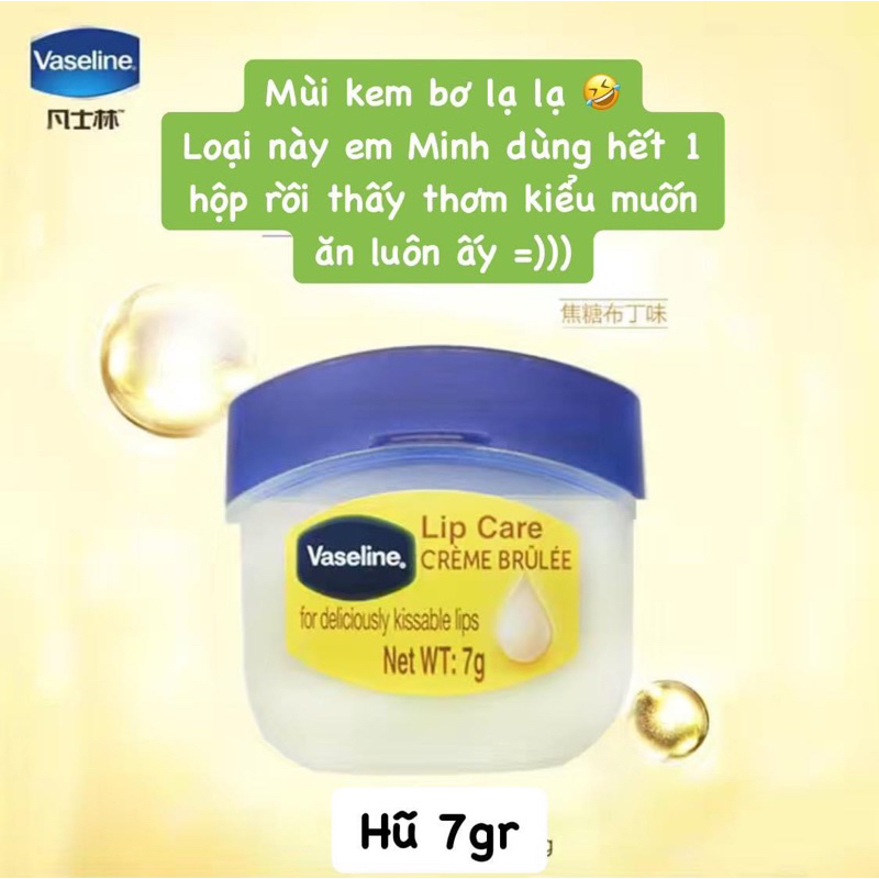 Dưỡng môi Vaseline  hũ 7gr