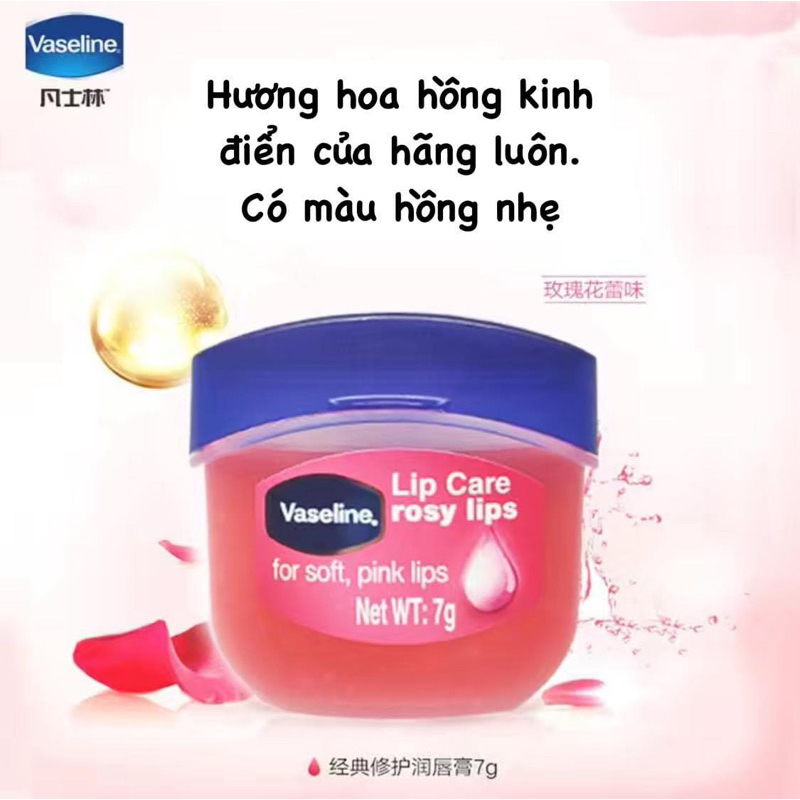 Dưỡng môi Vaseline  hũ 7gr