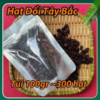 Túi 100Gr (~300 hạt) hạt Dổi Lạc Sơn Hòa Bình gia vị Tây Bắc