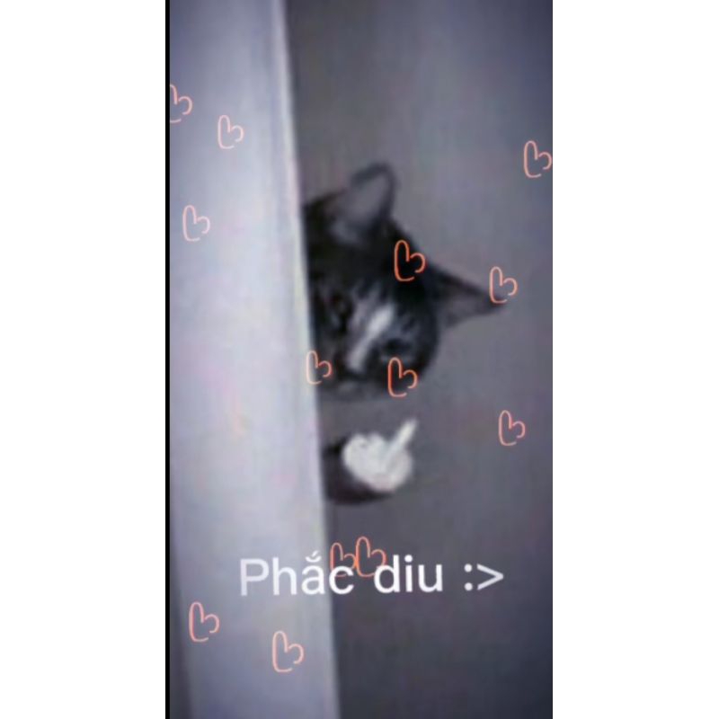 Luckybox đọc phần mô tả!