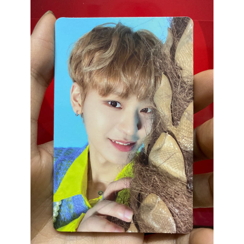 Card Album Taerae Tempest