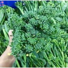 Hạt giống Súp lơ baby F1 hàng chính hãng công ty đóng gói