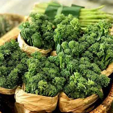 Hạt giống Súp lơ baby F1 hàng chính hãng công ty đóng gói