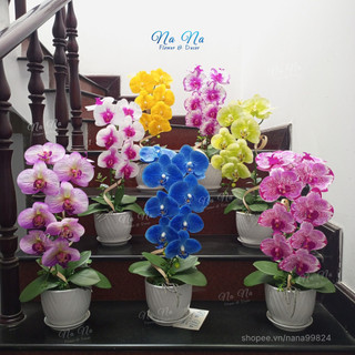 Chậu Lan Hồ Điệp giả, hoa cao su gồm 1 cành đã cắm sẵn dùng trong trang trí nhà cửa
