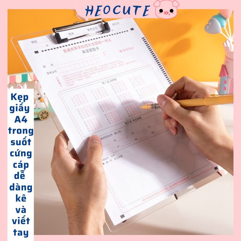 Bìa Trình Ký A4, Kẹp Tài Liệu A4 Trong Suốt In Hình Dễ Thương