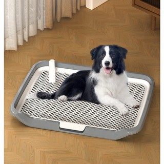 Khay vệ sinh cho chó loại lớn dành cho thú cưng 25kg