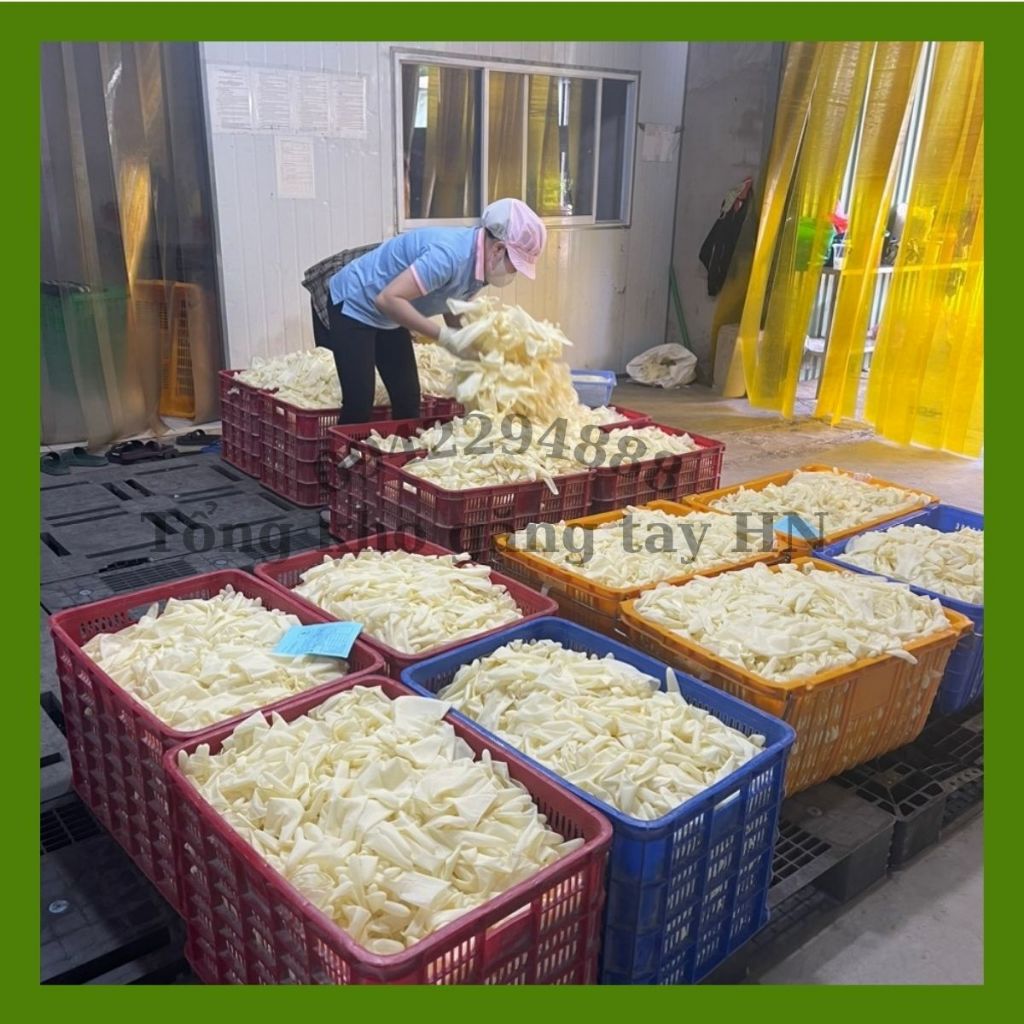 Găng tay y tế không bột và có bột bịch 100 cái, bao tay y tế bịch 100 cái hàng chính hãng nhà máy