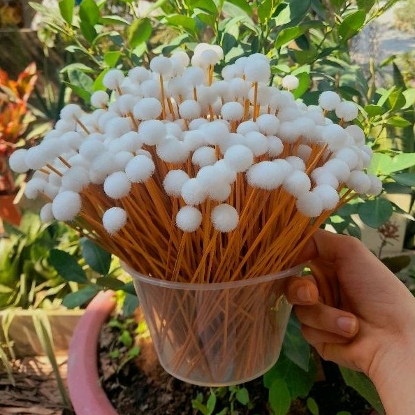 𝗖𝗼𝗺𝗯𝗼 𝗯𝗶̣𝗰𝗵 𝟭𝟬𝟬 𝗯𝗼̂𝗻𝗴 𝘀𝗲 𝘁𝗮𝗶 size