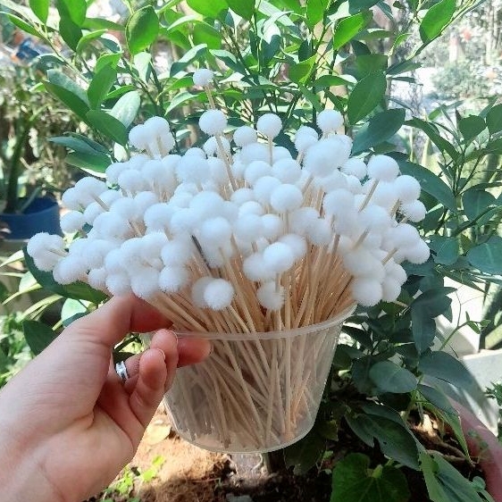 𝗖𝗼𝗺𝗯𝗼 𝗯𝗶̣𝗰𝗵 𝟭𝟬𝟬 𝗯𝗼̂𝗻𝗴 𝘀𝗲 𝘁𝗮𝗶 size