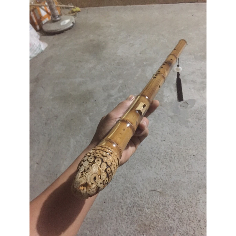 Sáo mèo nam gốc trúc