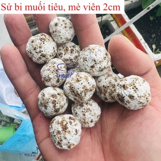 Sứ lọc dạng viên dùng làm vật liệu lọc cho lọc ngoài, lọc tràn trong hồ thủy sinh, hồ cá cảnh