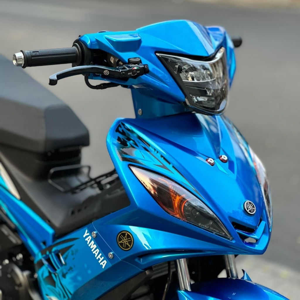 Cốt Càng Thắng Sau Inox CTS Gắn Xe Yamaha Exciter 135 4s , Ex2010, Sirius Inox304