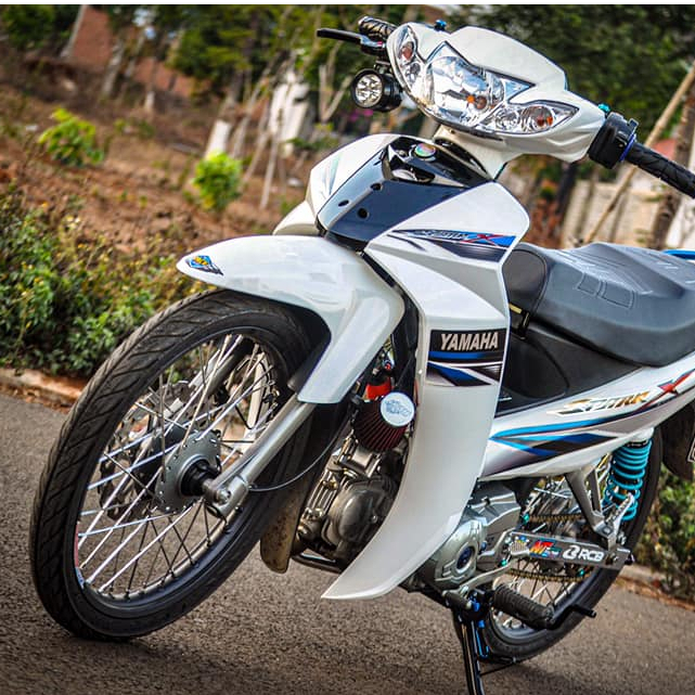 Cốt Càng Thắng Sau Inox CTS Gắn Xe Yamaha Exciter 135 4s , Ex2010, Sirius Inox304