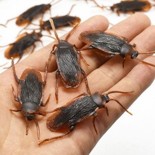 Con gián giả, con rết, con nhện đồ chơi cho mèo, thú cưng