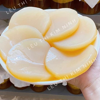Scoby-nấm thuỷ sâm dùng lên men trà kombucha