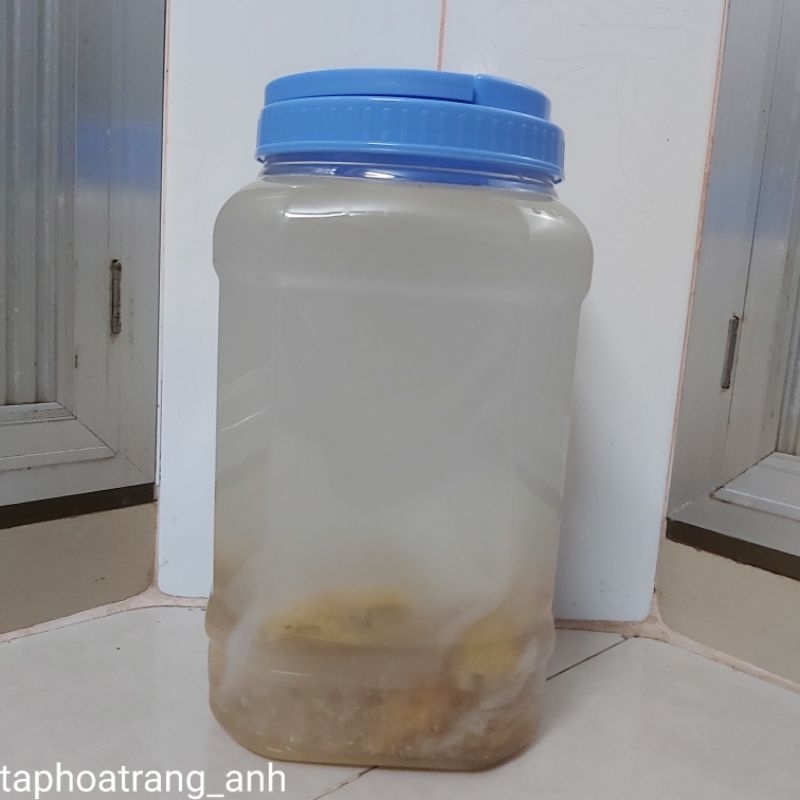 Giấm nuôi lên men tự nhiên bằng chuối chai 500ml/1000ml