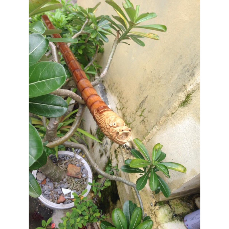 Sáo tiêu C4 tạc rồng