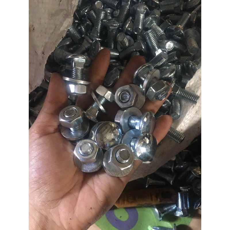 ốc dù -ốc tay lớn ốc tay bé