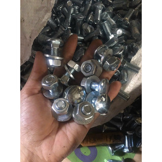 Ốc dù -ốc tay lớn ốc tay bé