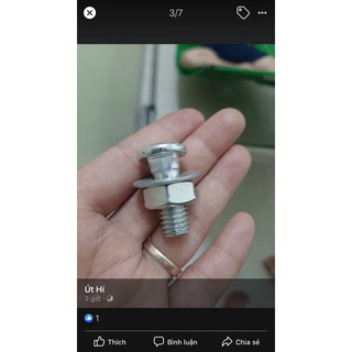 ốc dù -ốc tay lớn ốc tay bé