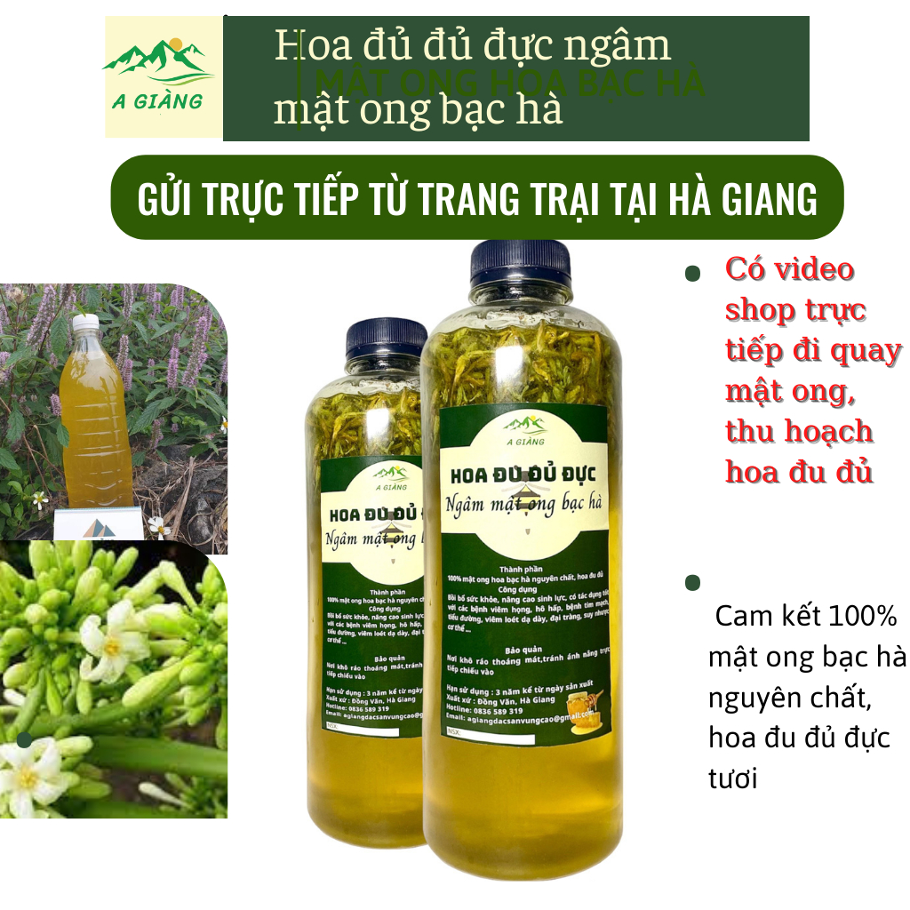 Hoa đu đủ đực ngâm mật ong bạc hà, Hoa đu đủ đực tươi ngâm mật ong bạc hà nguyên chất chia 500ml