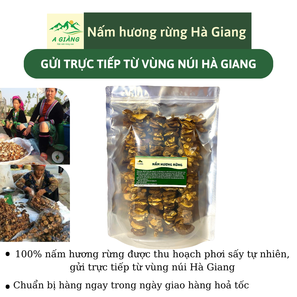 Nấm hương rừng Hà Giang, nấm đông cô rừng tự nhiên gói 500gr