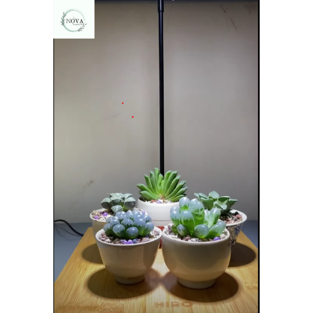 Đèn bể cá thuỷ sinh terrarium ,bóng led ánh sáng trắng công suất 3W ,5W ,7W.