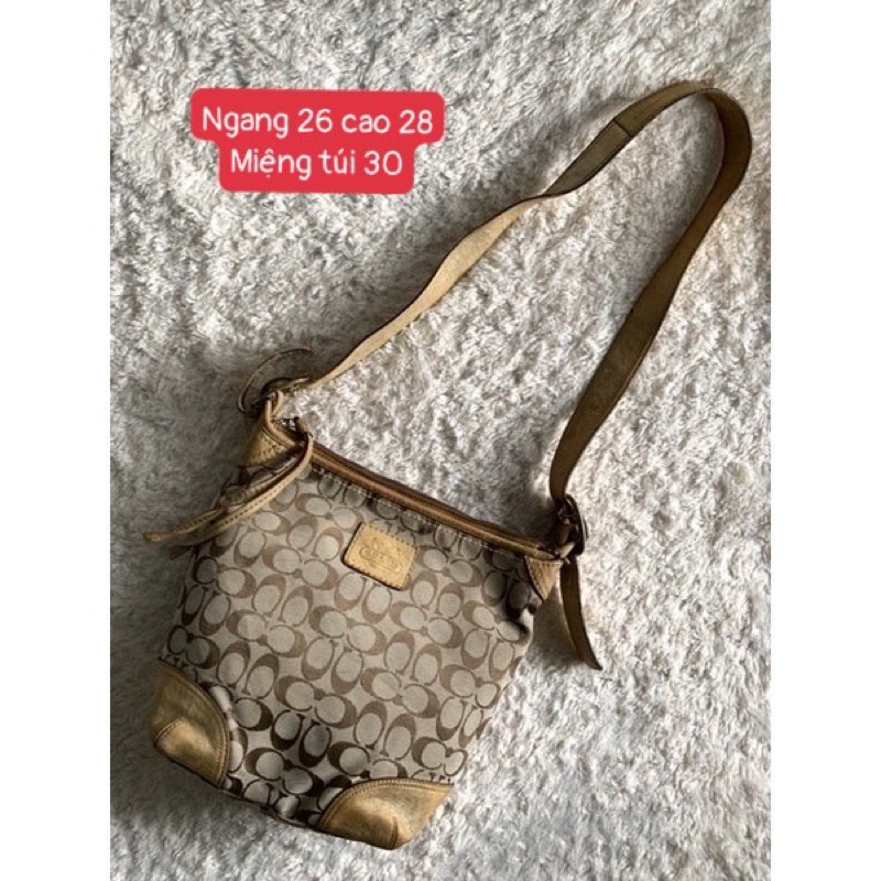 Túi đeo chéo hiệu